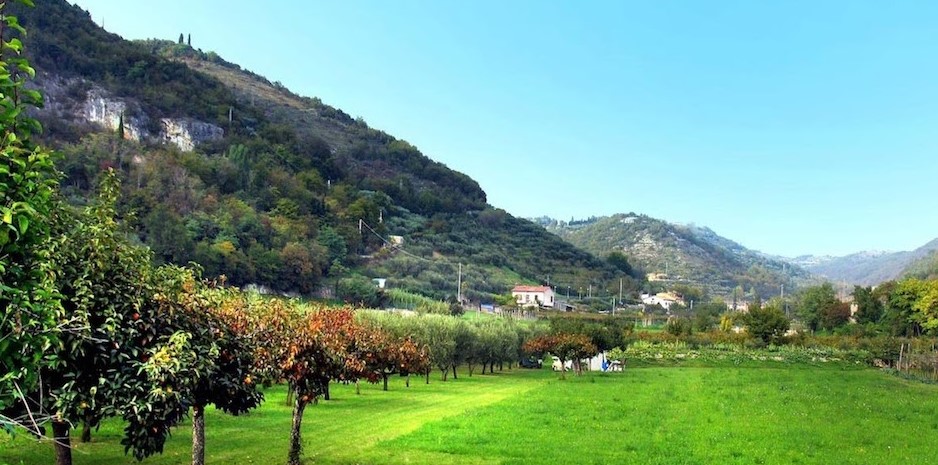 Val Borago, un contest per salvare la vallata dall’ennesimo vigneto