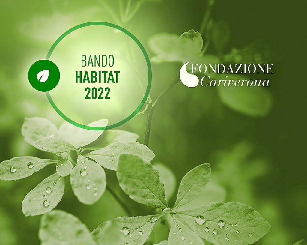 Ambiente, da Fondazione Cariverona bando Habitat 2022: 4,5 milioni dedicati a clima, biodiversità, acqua e territori 1 02 BANDO HABITAT 2022