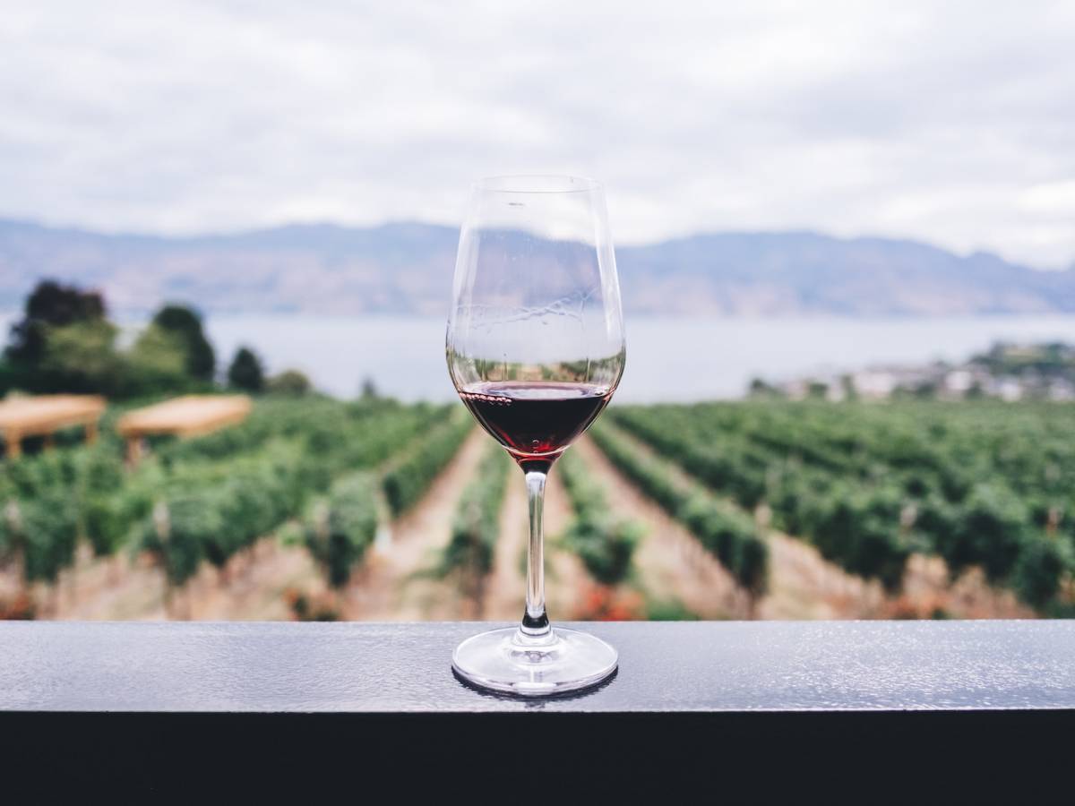 A Roma gli Stati Generali del Vino. Assente il Veneto, regione leader del settore