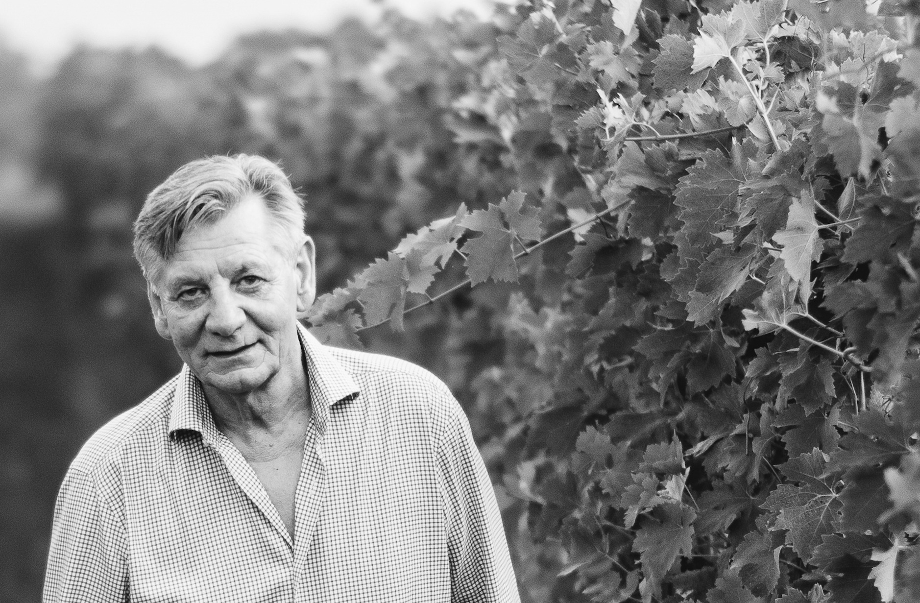 E’ scomparso Franco Allegrini, grande enologo e artefice del successo dell’Amarone e della Valpolicella