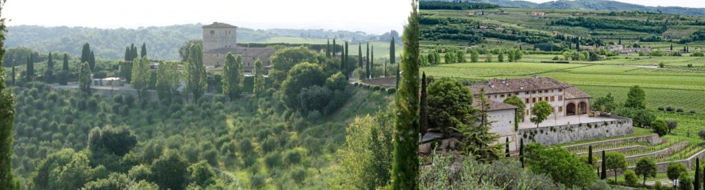 Simone Gradizzi. Un classe '93 tra le punta di diamante dell’enologia veronese 1 29JUN2016 CASTELL SALICUTTI 00020 side
