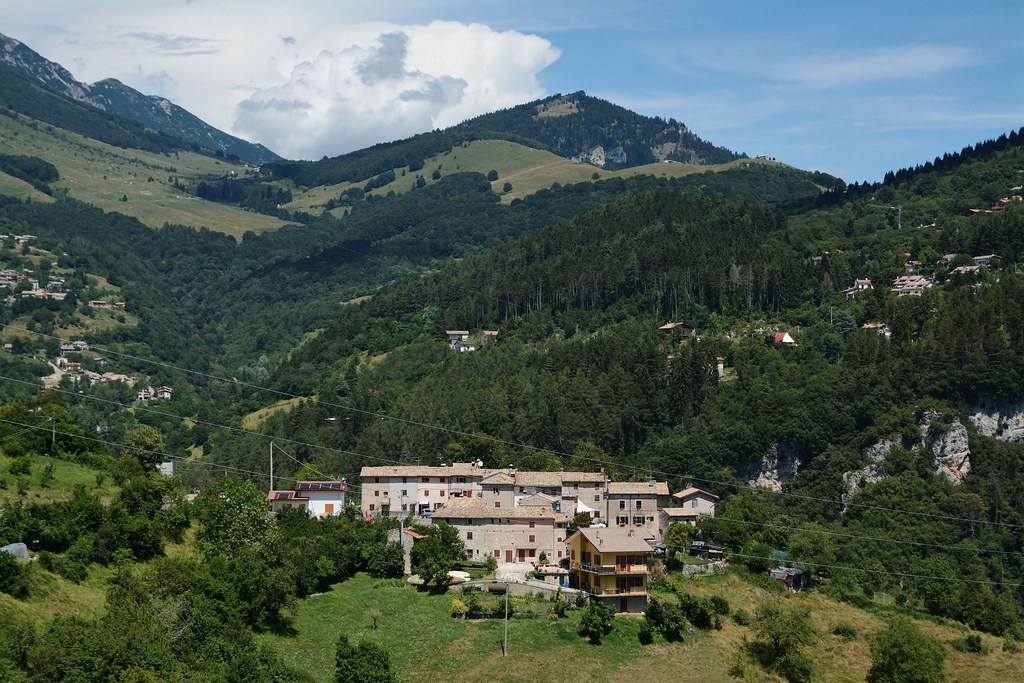 Nasce il Consorzio Forestale: 9mila ettari fra Baldo e Valdadige di boschi da gestire