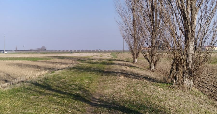Da Isola della Scala l’allarme: niente riso con la siccità!