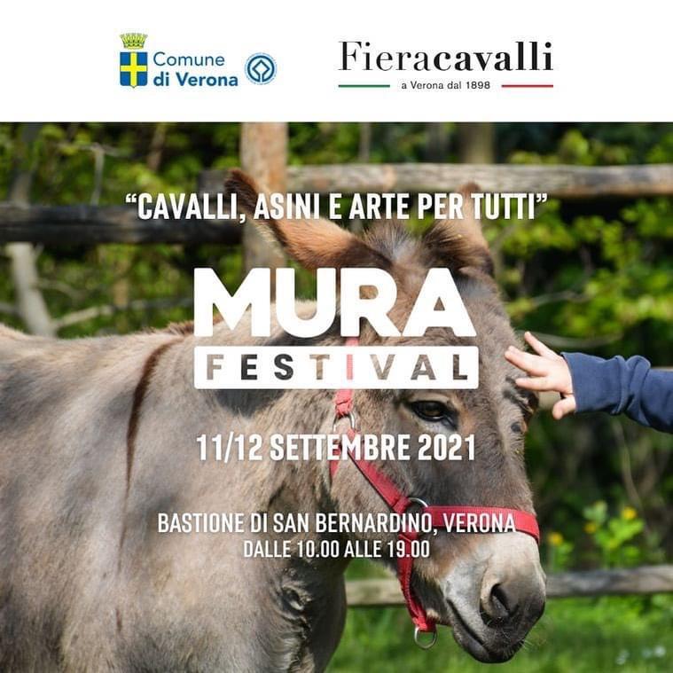 Asini e cavalli al Mura Festival