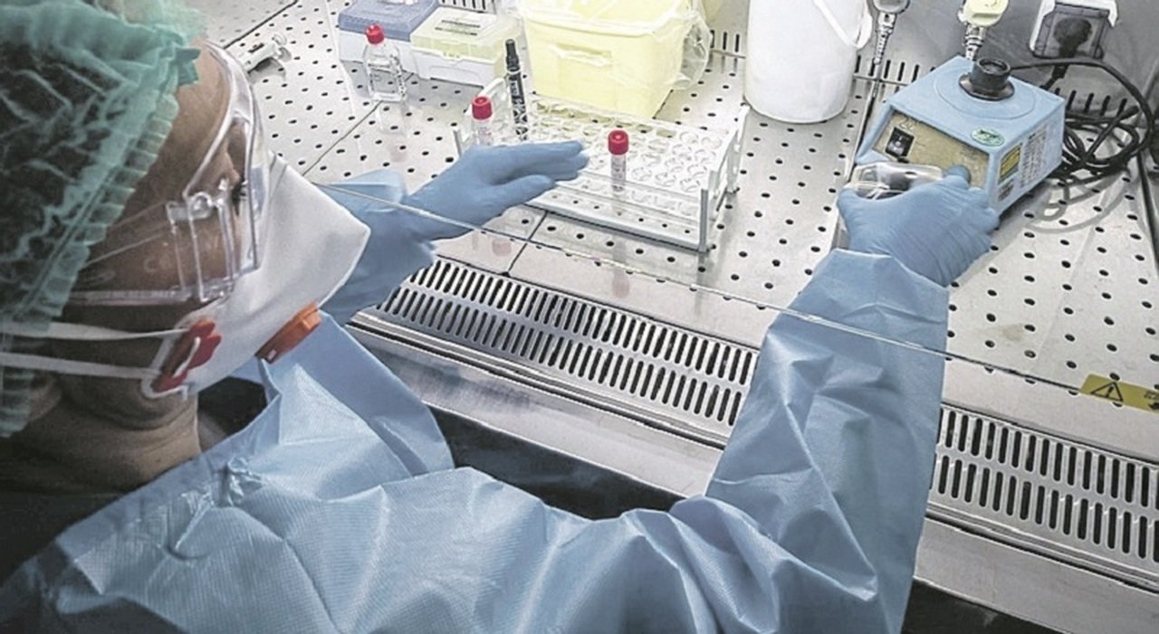L’Oms dichiara il vaiolo delle scimmie ‘emergenza sanitaria globale’. 