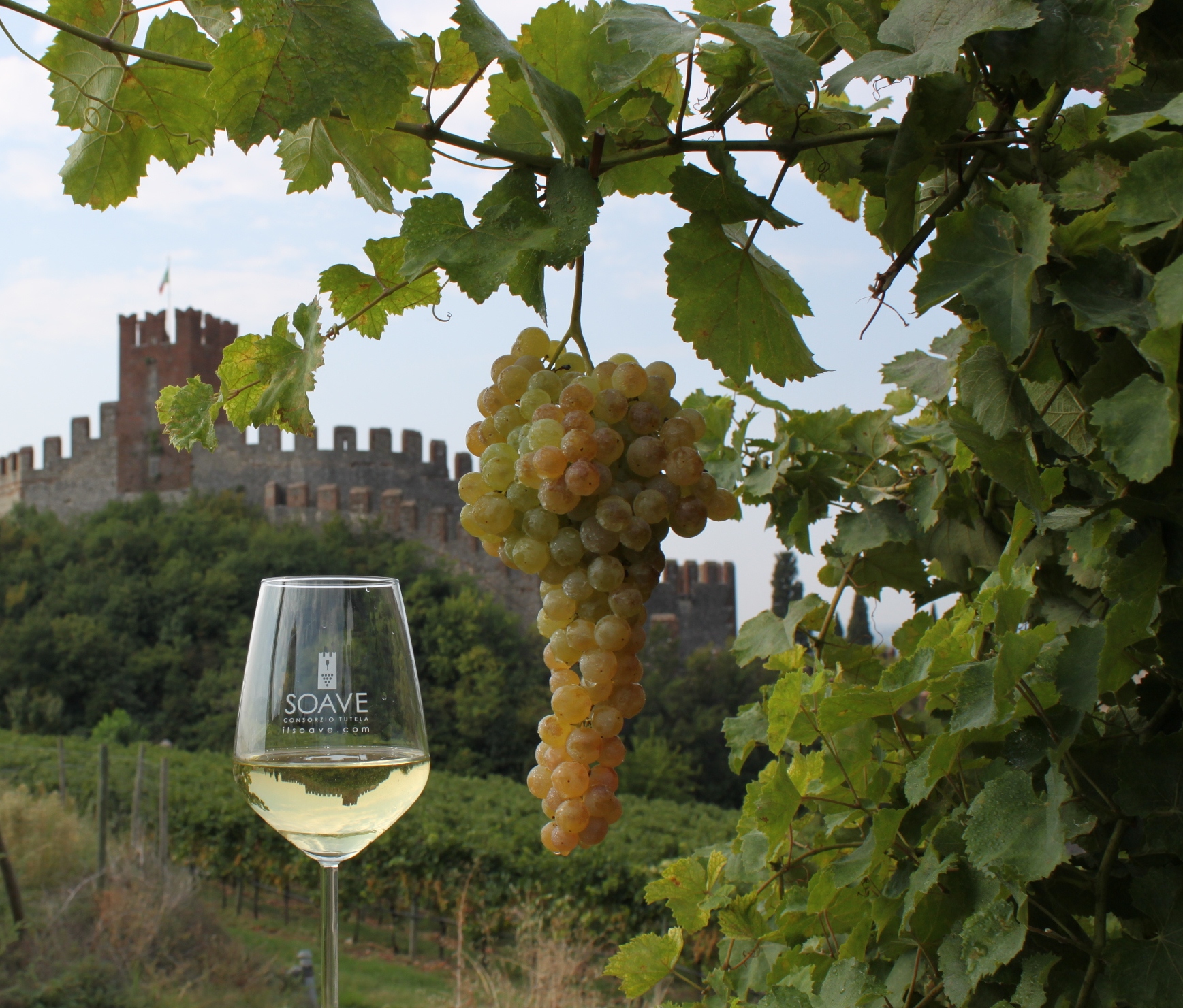 Soave: tregua parziale alla siccità e danni limitati 