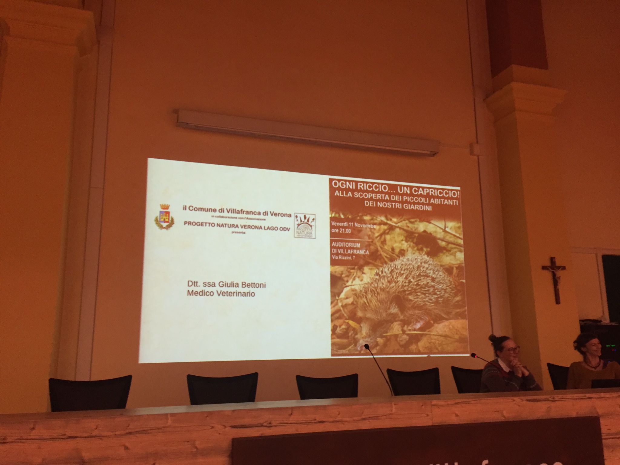 Villafranca e ambiente. Una conferenza dedicata ai ricci, le loro caratteristiche e come aiutarli se in difficoltà.