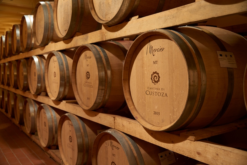 Custoza e di Valpantena insieme: nasce Cantina di Verona, una realtà da 65 milioni di venduto