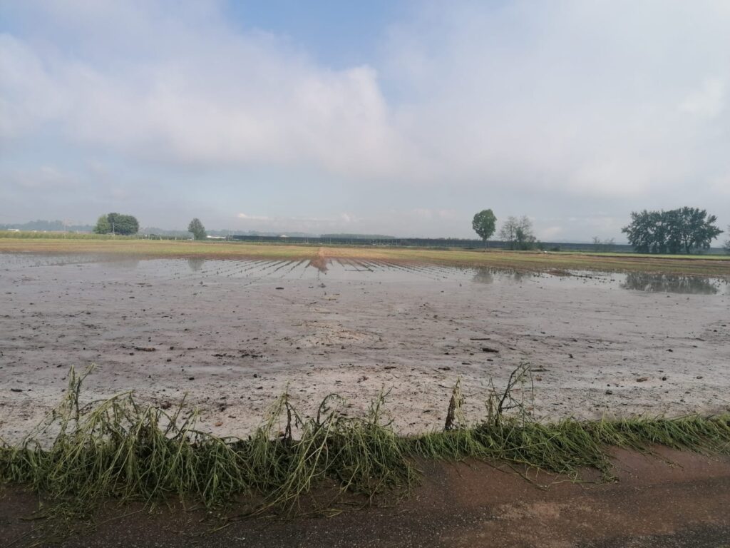 Maltempo, tromba d'aria a Villafranca, Quaderni e Valeggio. Ingenti i danni 1 Allagamento