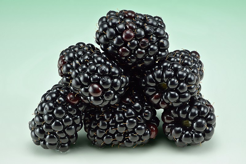 More. Ottima la raccolta, ma i prezzi pagati ai produttori sono stati più bassi rispetto a quelli pagati nel 2022. Redditizia invece la fragola quotata sopra i 2 euro al kg