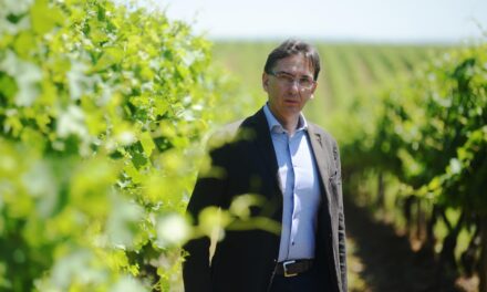 Christian Scrinzi è il nuovo DG di Collis Veneto Wine Group