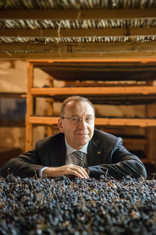 La 90ª vendemmia di Cantina Valpolicella Negrar pone l’accento sulle varietà 1 DA dg enologo Cantina Valpolicella Negrar copia