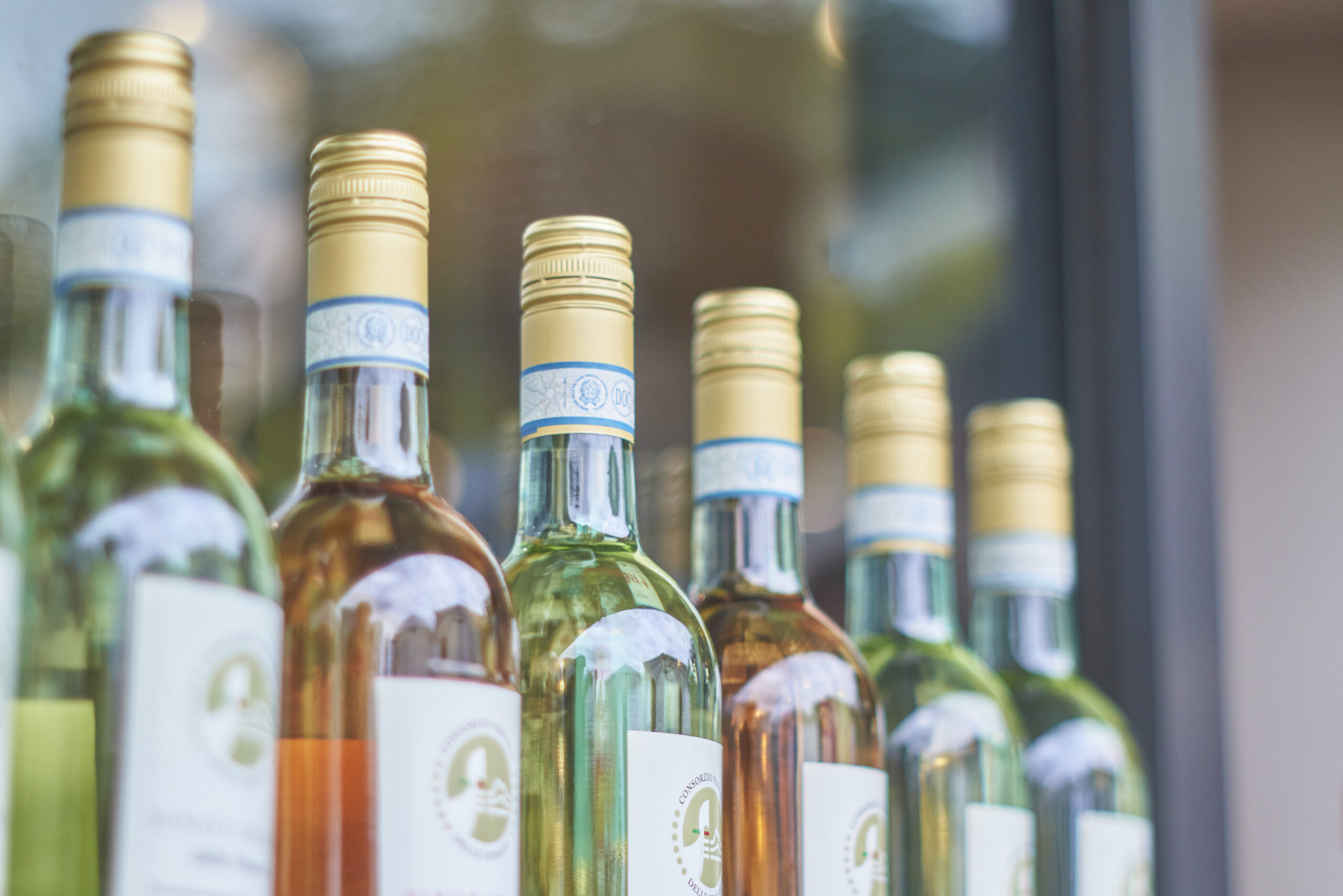 Pinot grigio, crescono del 10% gli imbottigliamenti a giugno