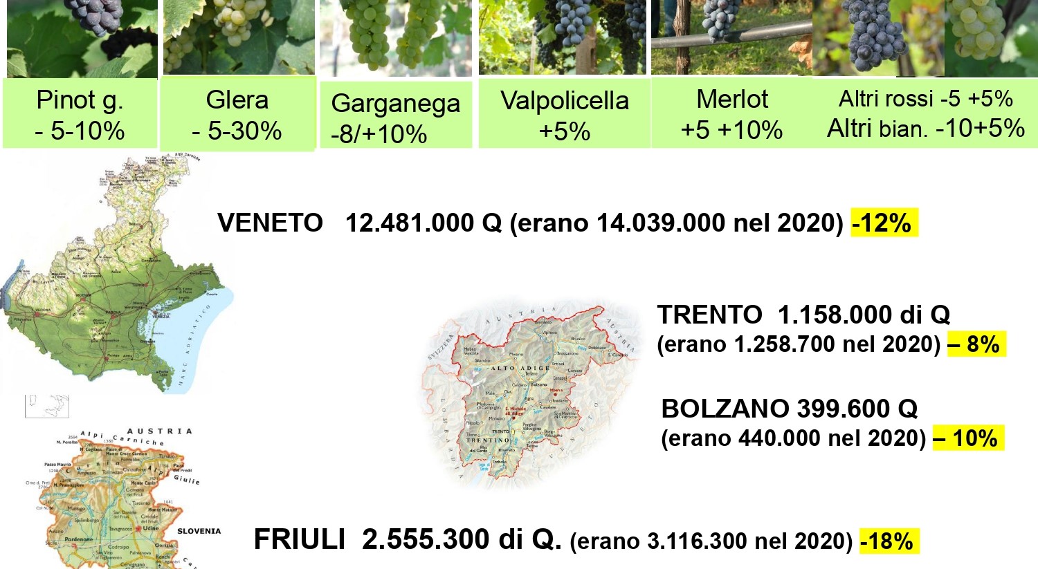 Vendemmia 2021, grandine e flavescenza dorata abbattono del 10% la raccolta