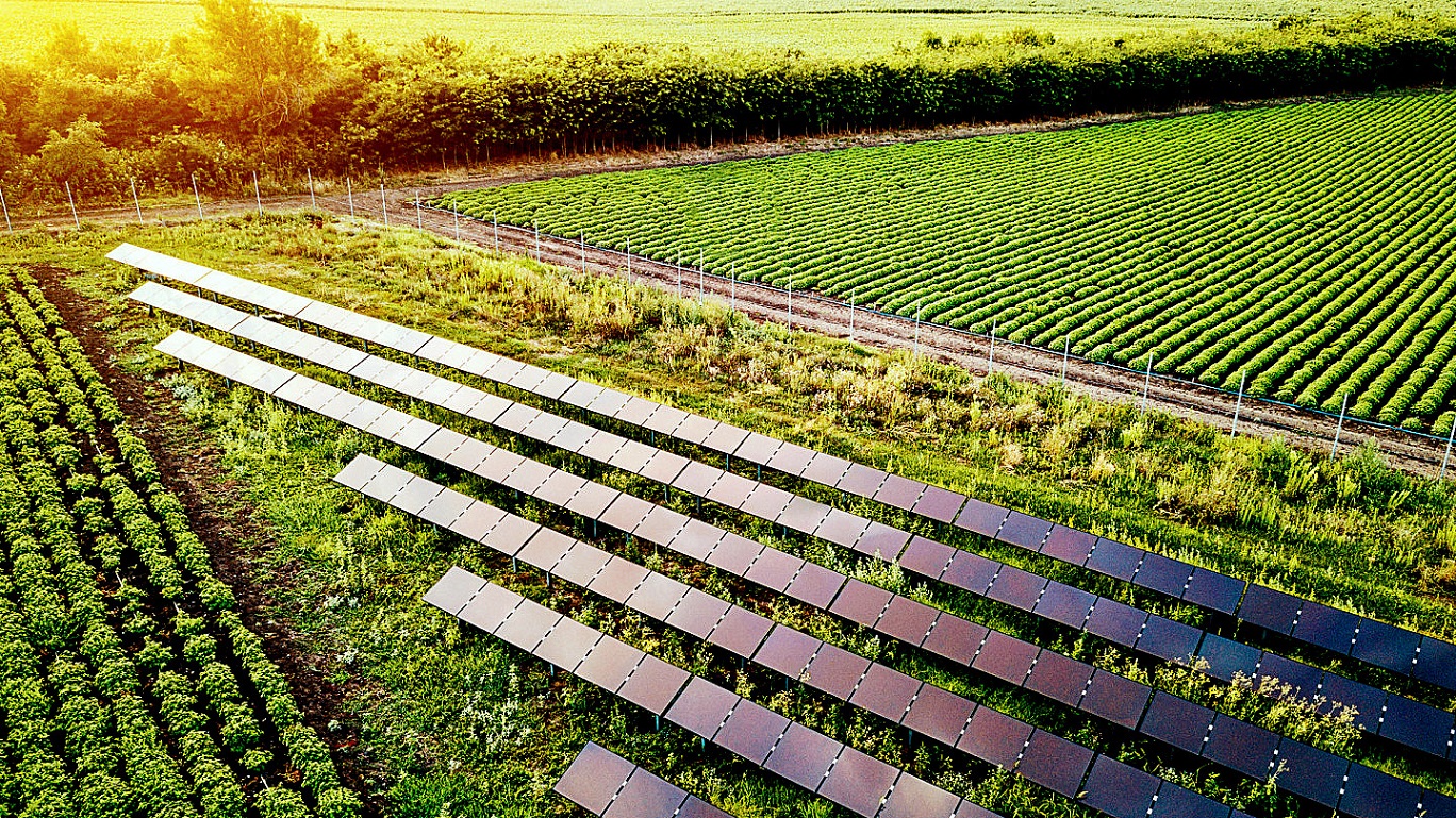 Coldiretti sceglie ForGreen per la sua energia rinnovabile, già 100 milioni kWh