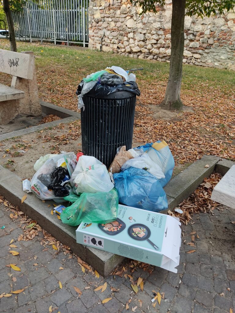 Foto di Marcella Ferlenga sul gruppo Facebook Segnalazioni Verona Giardini Emilio lo Cicero San Zeno