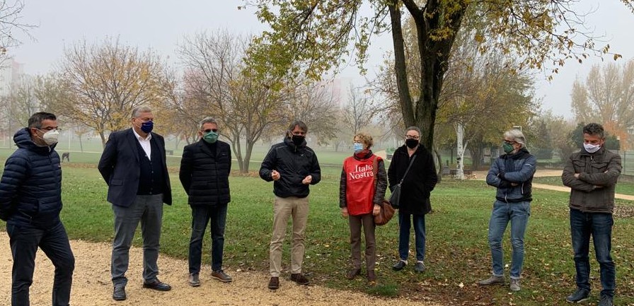 Mai più capitozzature: un piano ed una Consulta difendono da oggi il verde pubblico, così Verona è più green