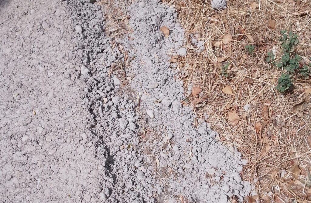 Boschetto di Lungadige Catena, asfaltato l'ultimo pezzo di sentiero "naturale" mentre il parco è in abbandono 1 IMG 20220709 WA0008