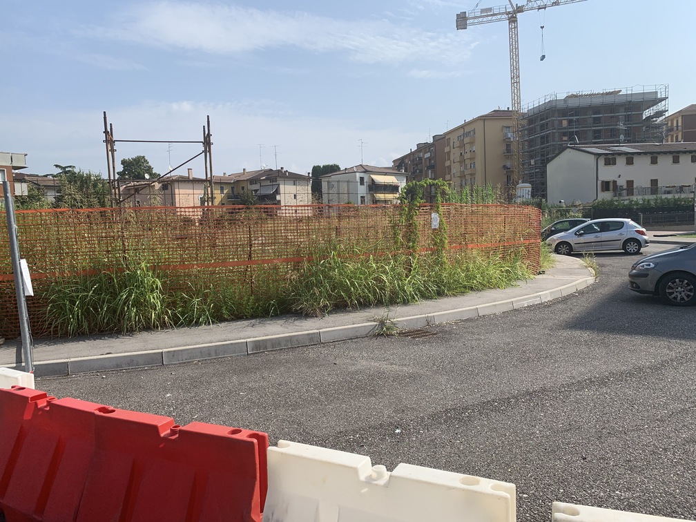 Cantiere di via Pascoli-Verga: ditta fallita, topi in festa, Comune assente. Non è il nuovo stadio, ovvio