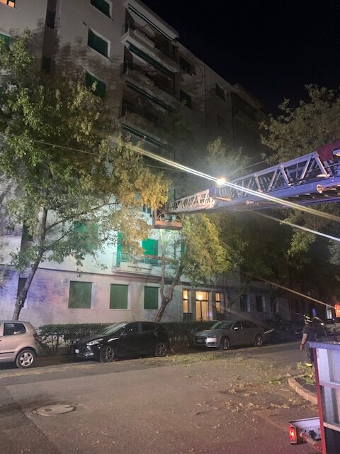 Albero sta per cadere su auto. Intervento dei Vigili del Fuoco in borgo Trento 1 IMG 5379 rotated 1