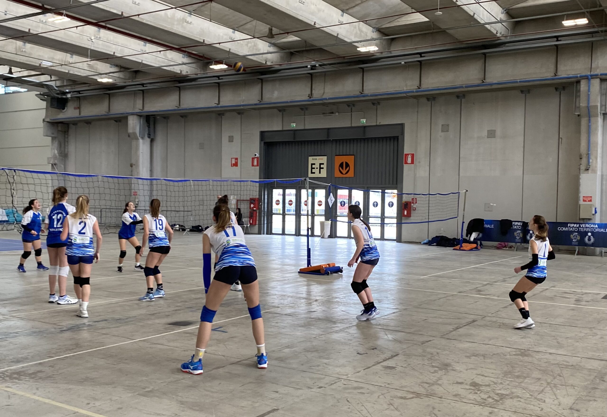 Finali studentesche Volley S3 e basket 3vs3: ecco tutti i vincitori