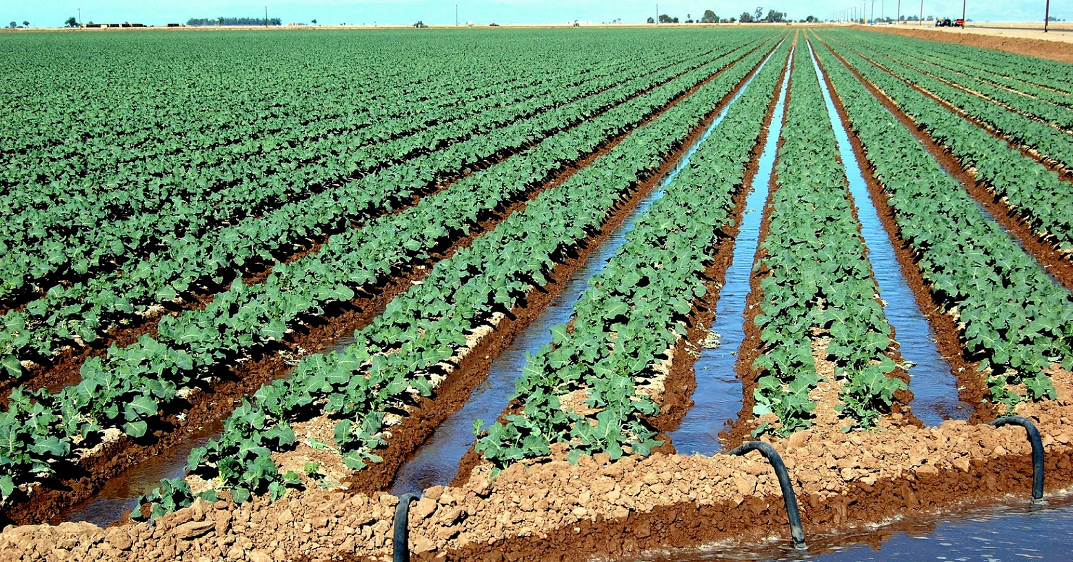 L’uso sostenibile dell’acqua come risorsa economica, sociale e ambientale: convegno di Coldiretti con i Consorzi di Bonifica