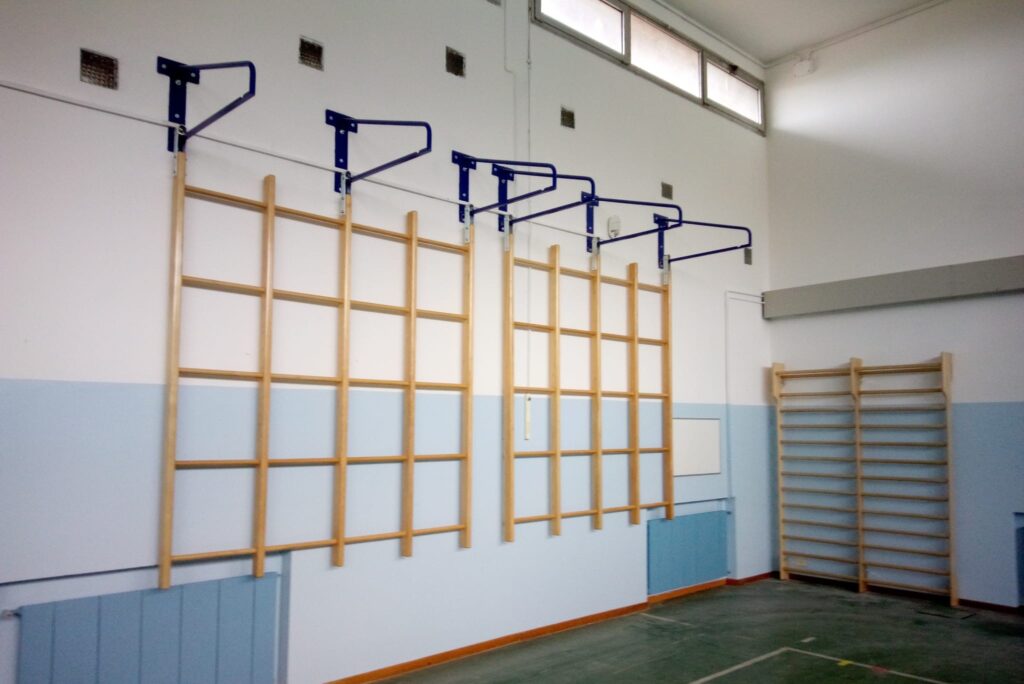 LavoriPalestraScuolaVirgilio5 4