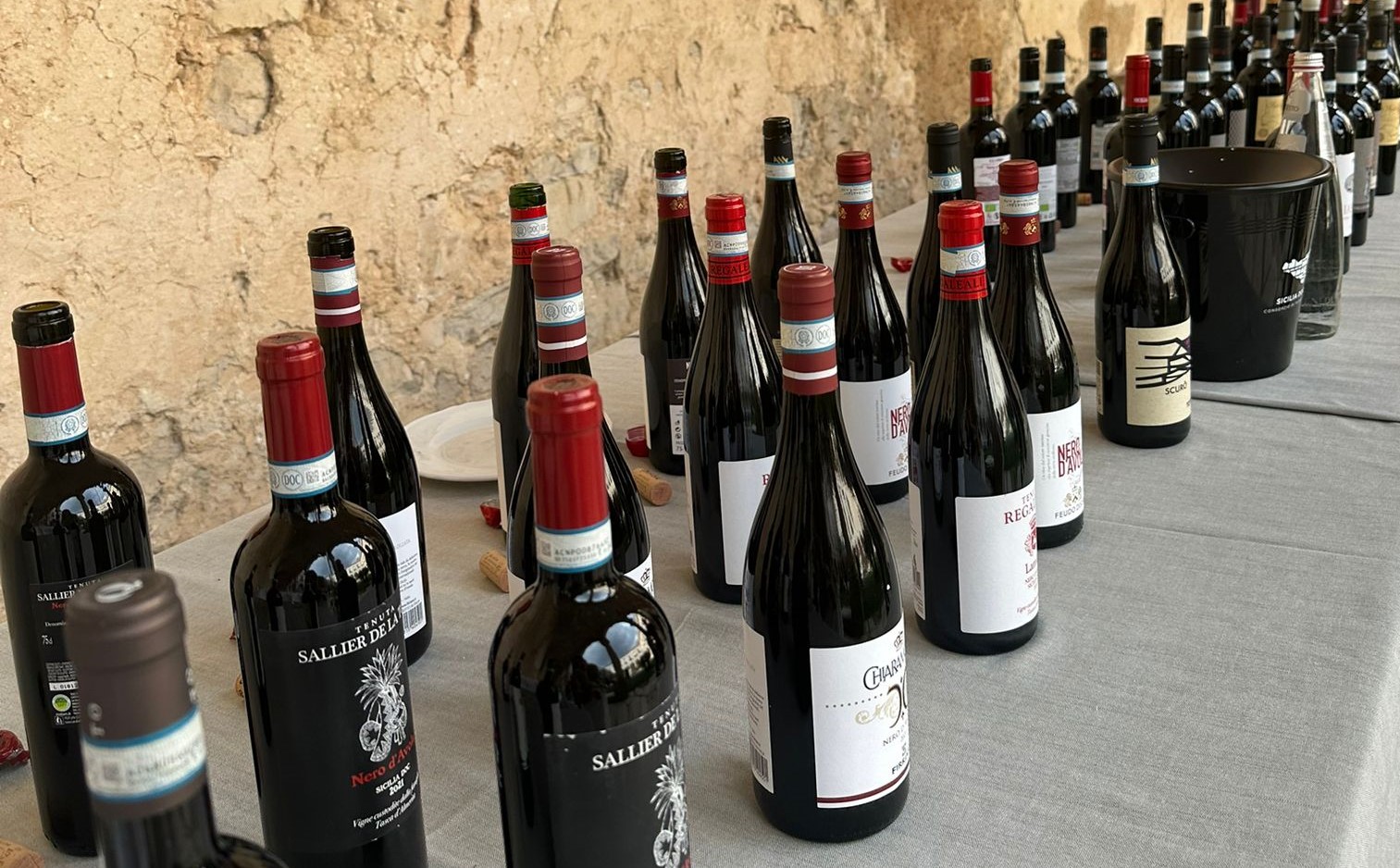 Nero d’Avola, cinque interpretazioni da portare in tavola questo autunno: la degustazione