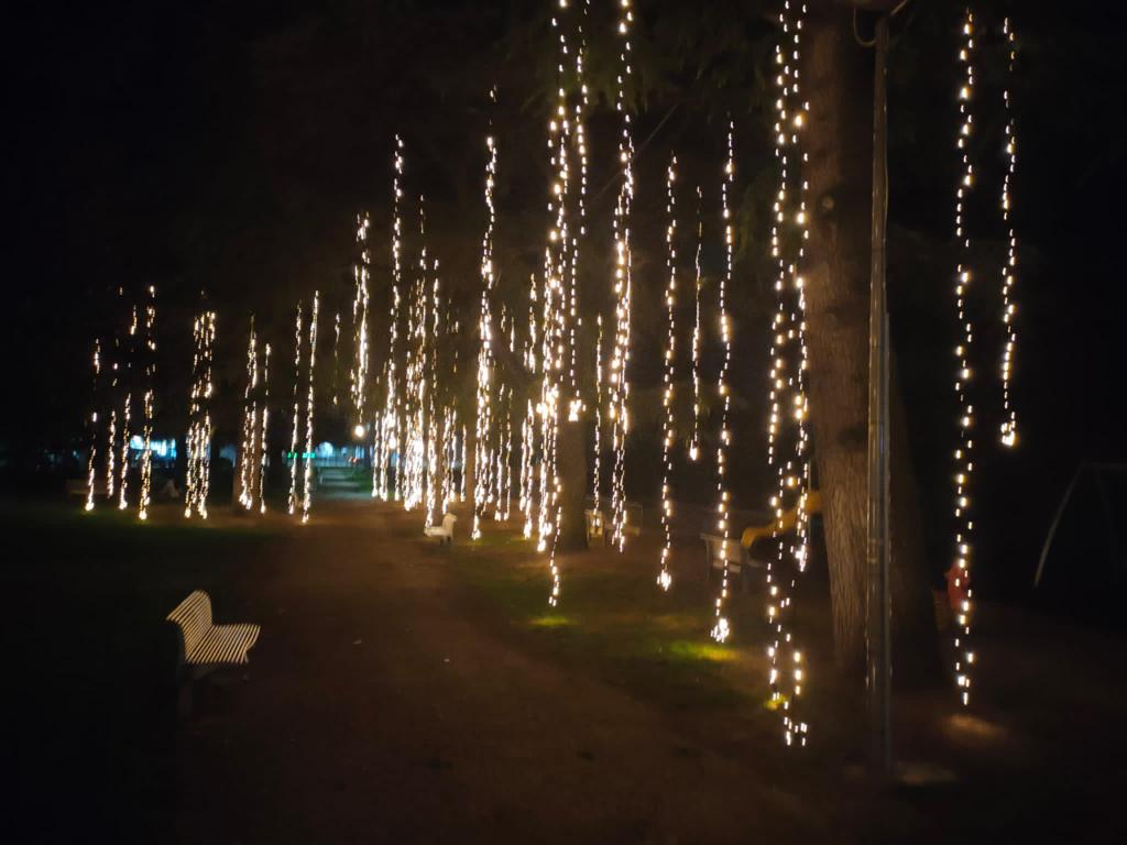 Luci di Natale a Villafranca. Il regalo dell’amministrazione di Dall'Oca illumina il Castello Scaligero 1 PHOTO 2023 12 12 20 51 13 4 1
