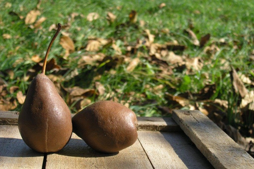 Gli Gnocchi della Lessinia (e il Pero Misso) entrano nell'Elenco nazionale dei Prodotti Agroalimentari Tradizionali 2 Pero Misso