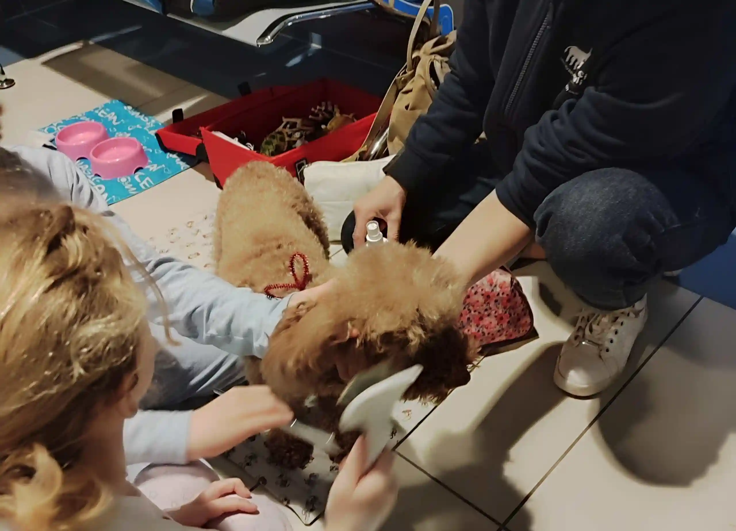 “Una coda, un sorriso”.  Riparte il nuovo ciclo di PET Therapy al Magalini di Villafranca