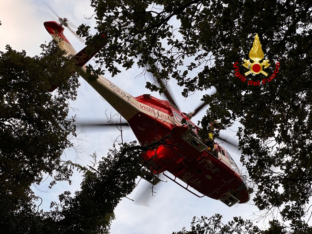 I vigili del fuoco salvano due bovini caduti in un Vajo. 1 Photo 1690869488253