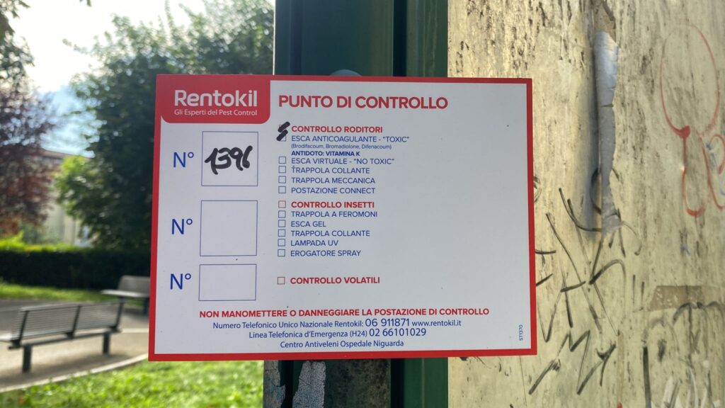 Piazza Cervignano