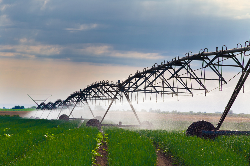 Dall’irrigazione di precisione 20 milioni di metri cubi d’acqua dolce risparmiati ogni anno