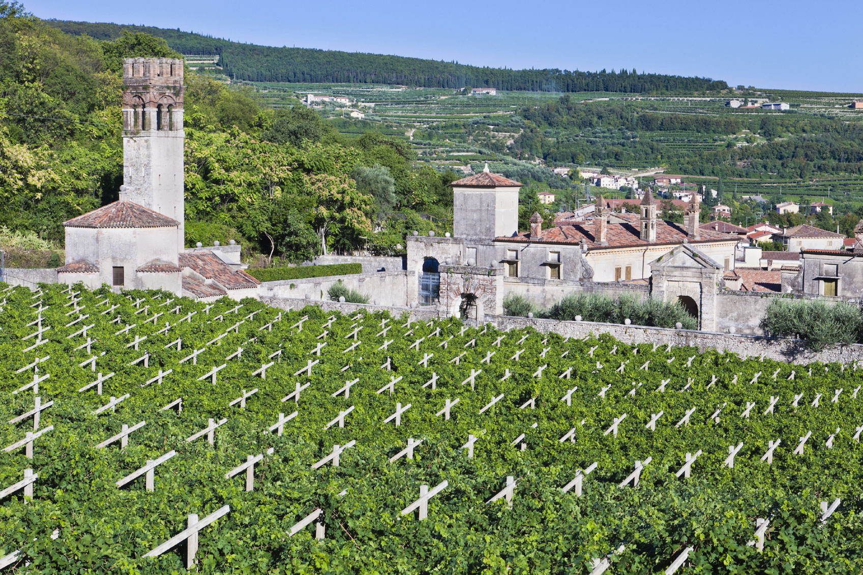 Soltanto l’enoturismo salverà le piccole cantine della Valpolicella