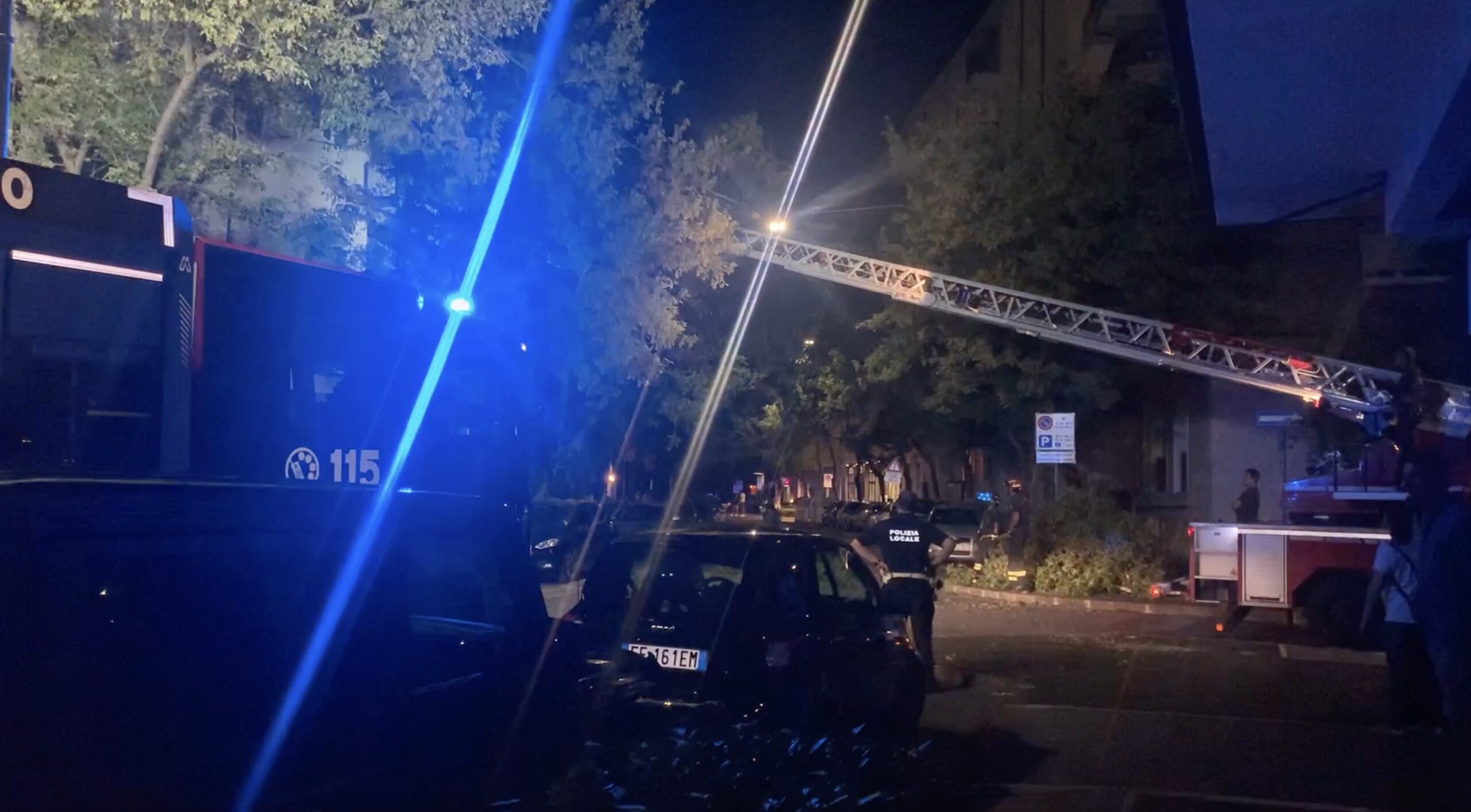 Albero sta per cadere su auto. Intervento dei Vigili del Fuoco in borgo Trento