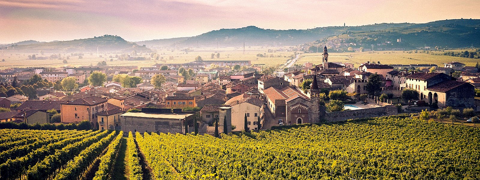 Donna, giovane, diplomata e lavora nell’eno-gastronomia: è l’identikit dell’occupazione nel turismo dell’area di Soave