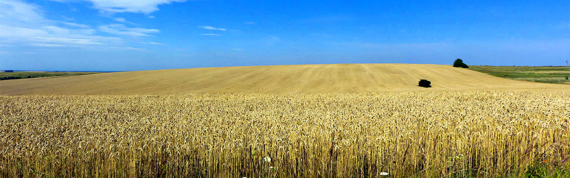 Ucraina/2: agroindustria, infrastrutture, energia, digitale: risorse e progetti per moltiplicare attività e interscambio