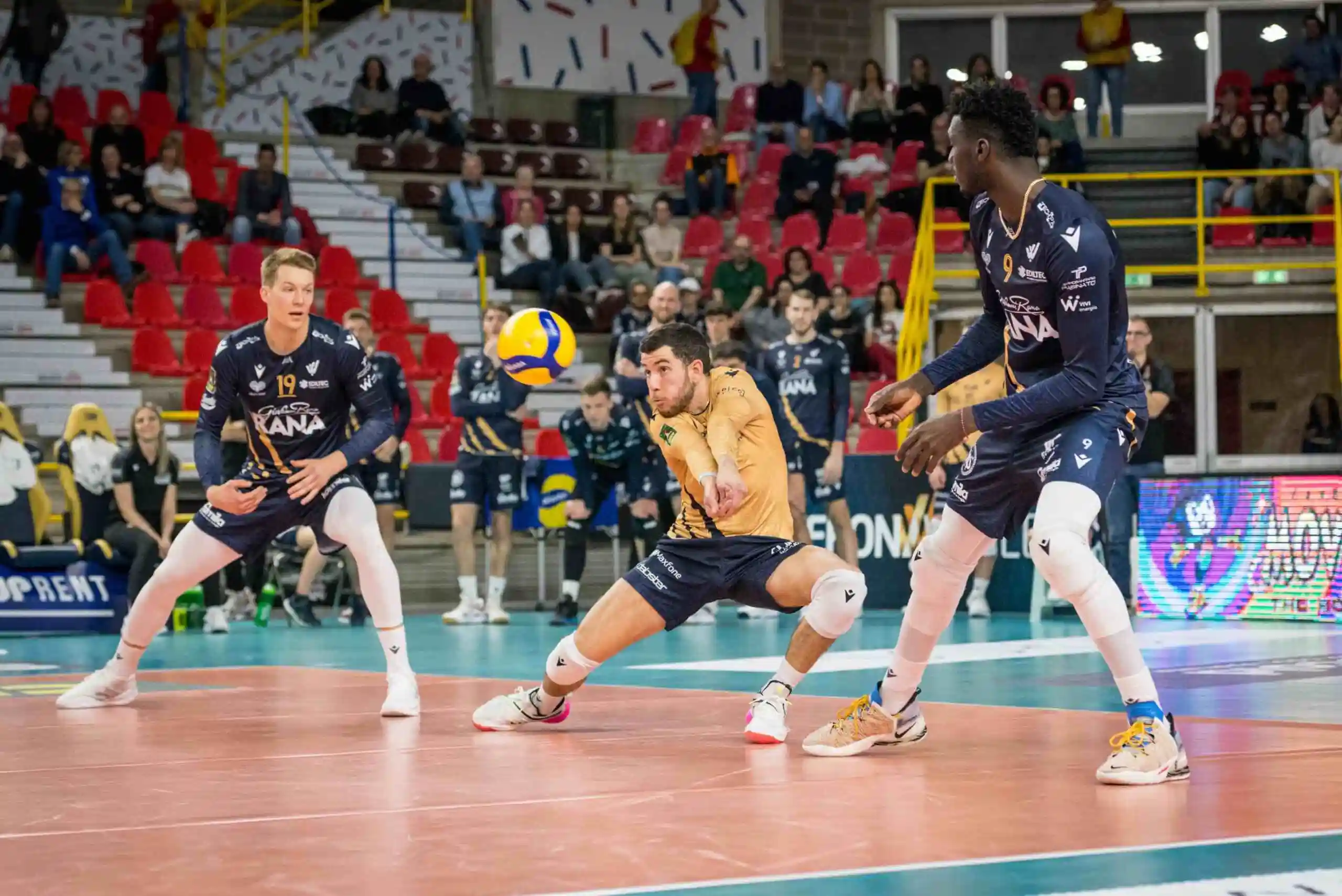 Rana Verona, la vittoria con Cisterna vale doppio. Le fasi finali dei playoff si giocano al PalaOlimpia