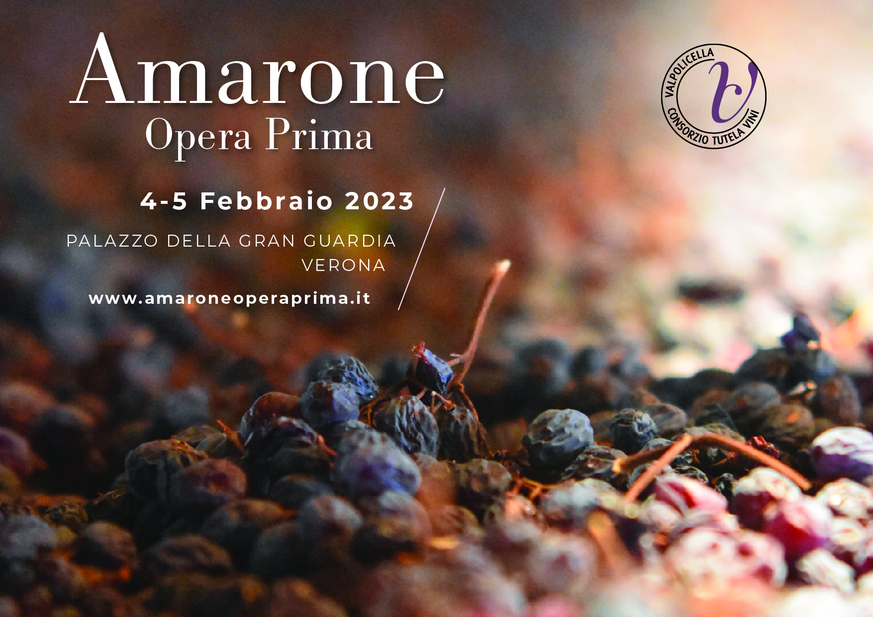 Consorzio Valpolicella: la produzione dei vini veronesi sempre più giovane e green