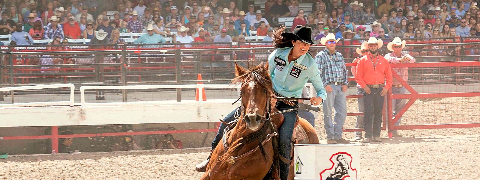 Il “Western horse” conquista l’Italia e guadagna posizioni. Veronafiere esplora nuove possibilità sportive e di scambi