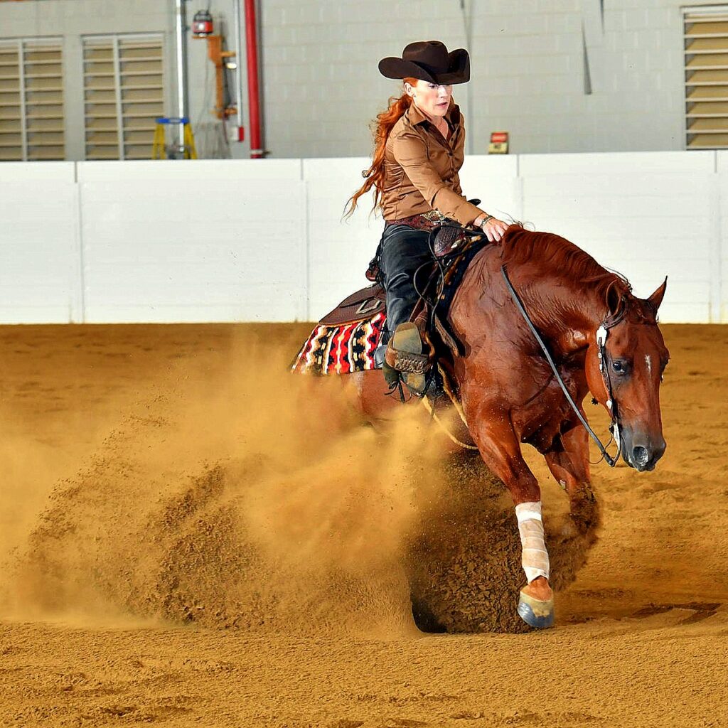 Western horses 2