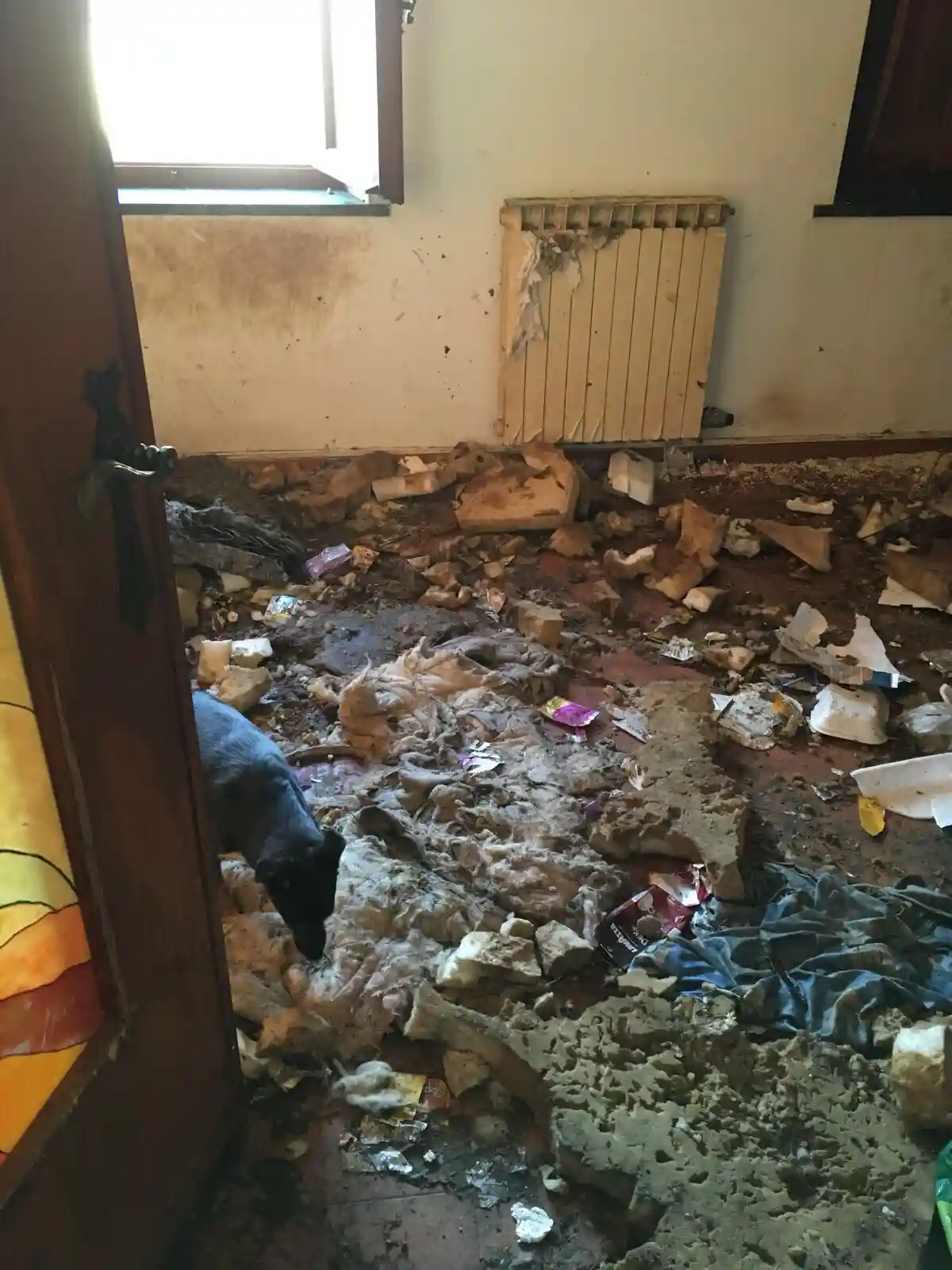 Condannata a 5 anni e 6 mesi per maltrattamento sugli animali. I fatti avvenuti a Sona risalgono al 2017