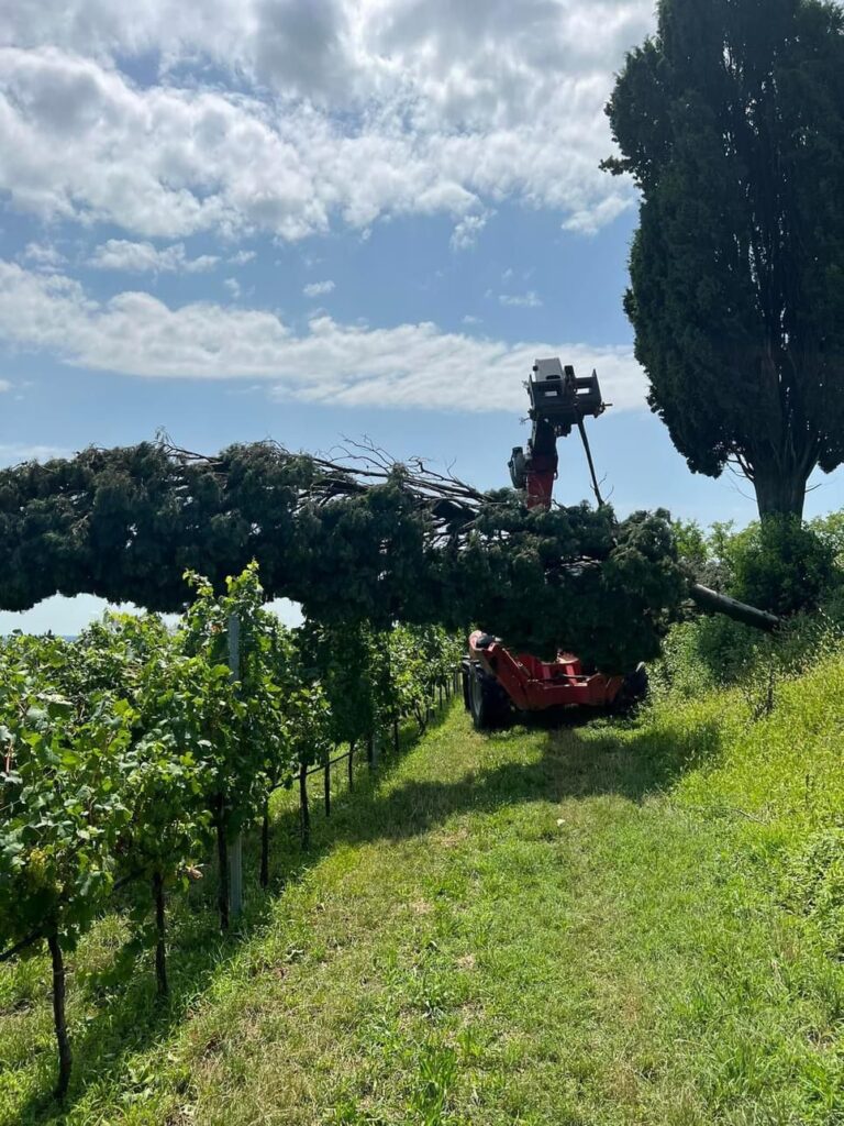 Villafranca fa la conta dei danni delle tempeste di quest'estate 2023: centinaia di richieste di risarcimento 1 WhatsApp Image 2023 07 26 at 15.32.30
