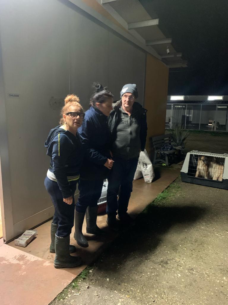 Rischio inondazione al rifugio di Merlara, la staffetta che ha messo in salvo almeno cento cani e gatti. Ora servono aiuti. 8 WhatsApp Image 2024 02 29 at 11.29.16 1