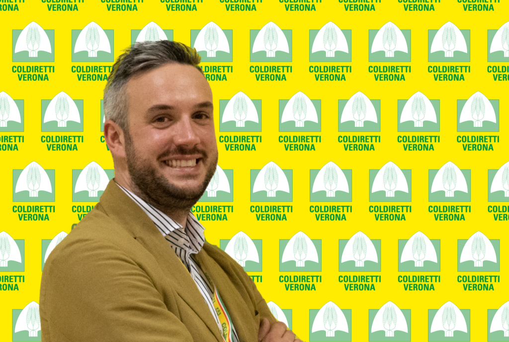 Università di Verona: nuovo servizio di mensa per gli studenti nel cuore della città. 1 granchio blu