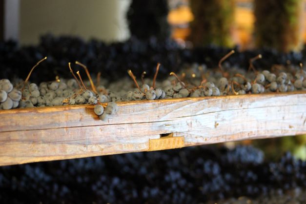 Appassimento patrimonio culturale dell’umanità: il Consorzio della Valpolicella accelera sul suo iter