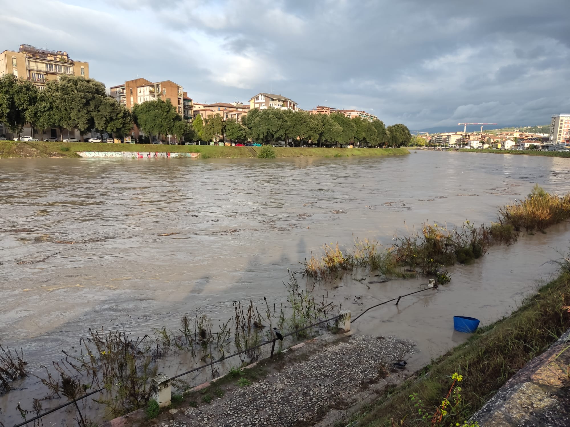 Adige, l’onda di piena è attesa per le ore 20,00. Operativo il COC