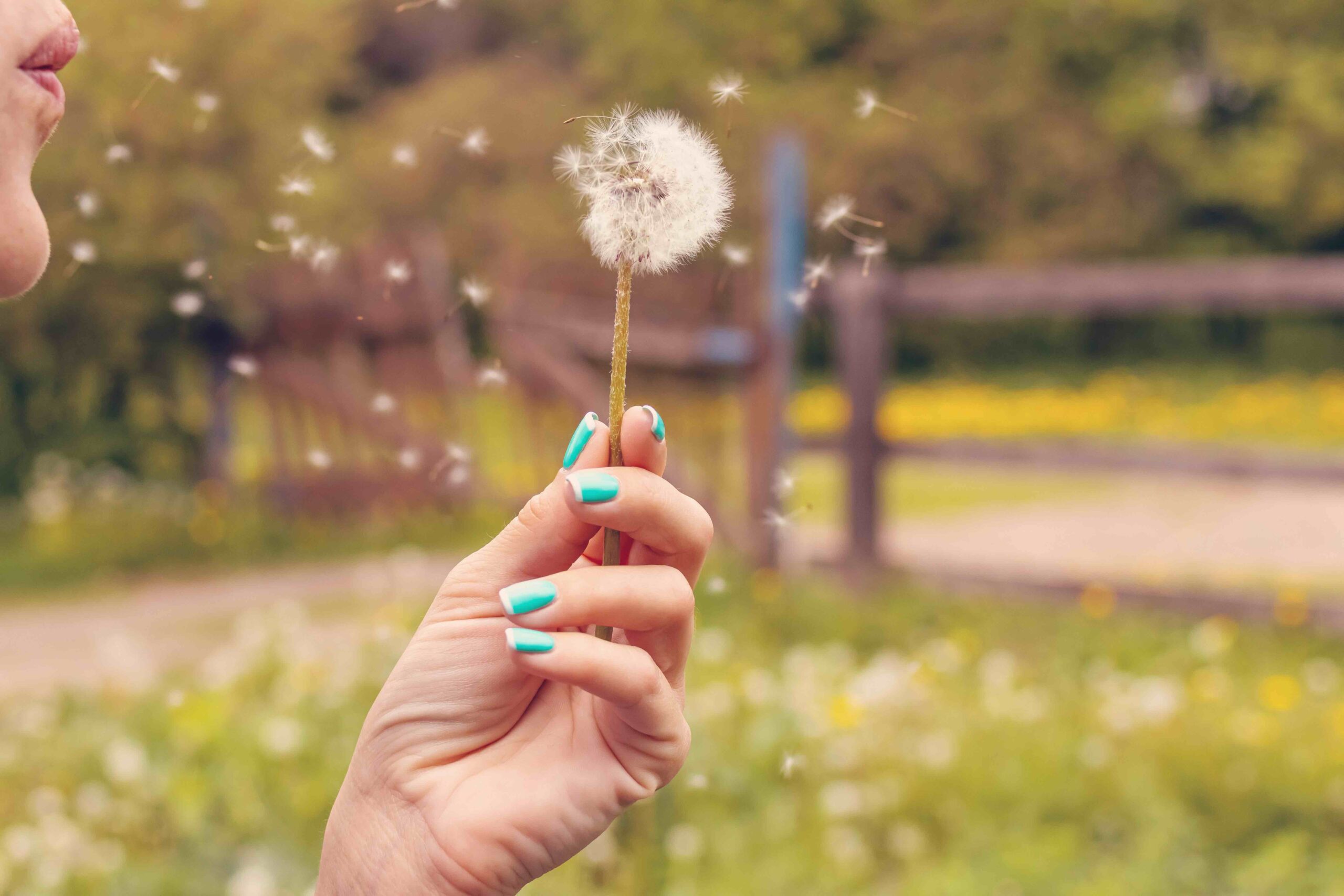 Allergie in aumento. E si allungano i periodi. Sabato screening gratis per tutti 3 Le allergie stagionali durano di più