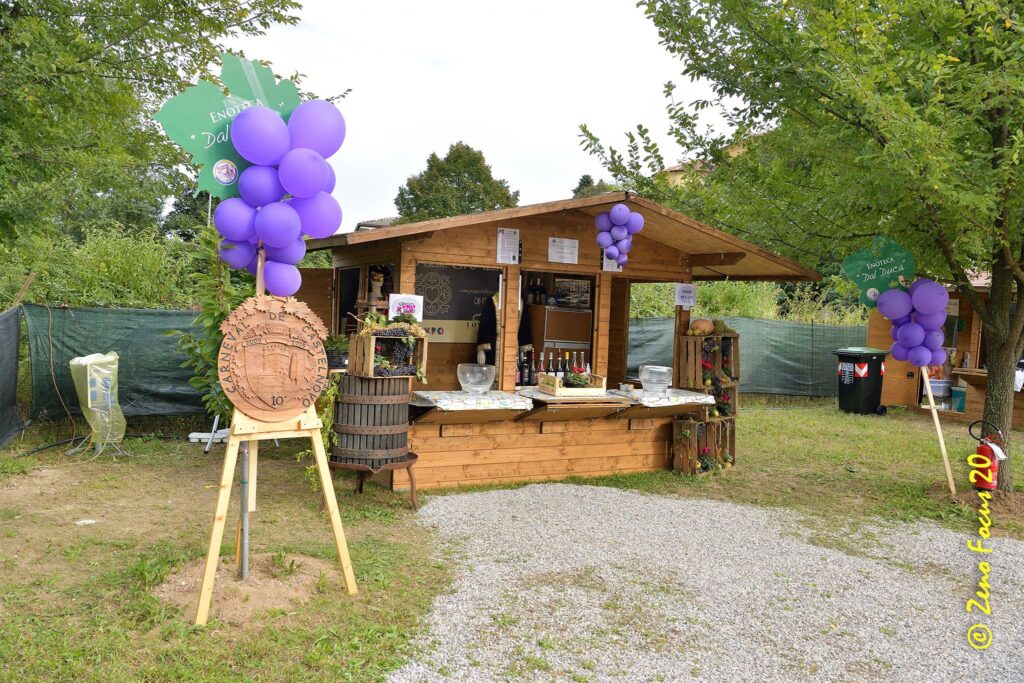 Festa dell’Uva, a Castelnuovo un weekend tra enogastronomia, danza e spettacoli 1 Festa dell'Uva 2023 Castelnuovo